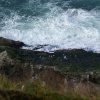 Point Reyes 23